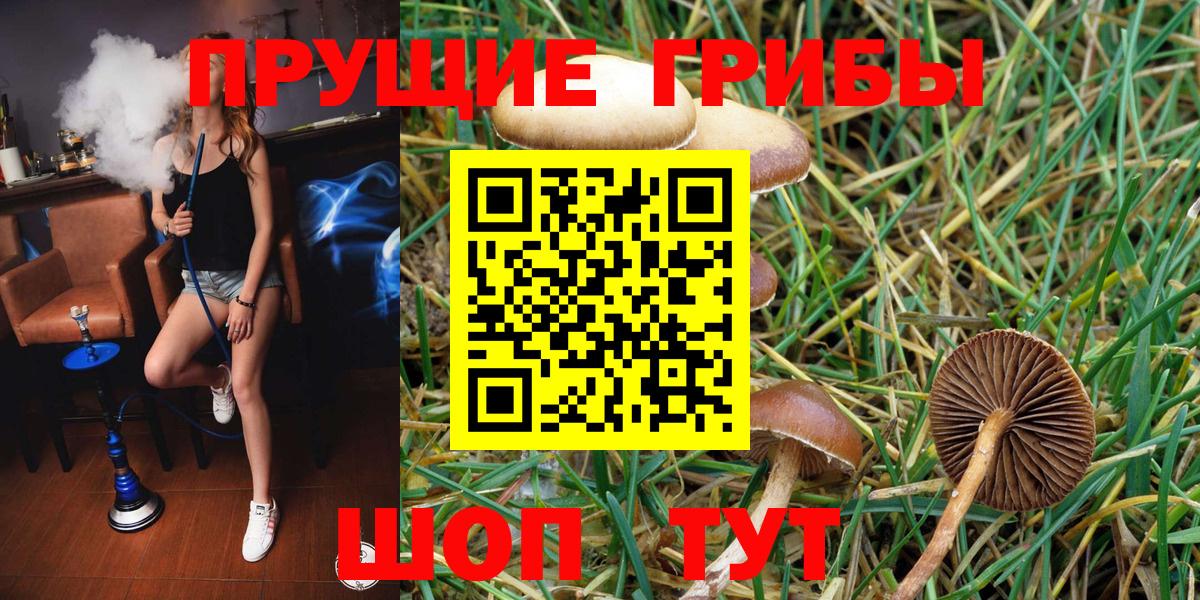 Псилоцибиновые грибы GOLDEN TEACHER  Вход с VPN  Алексин  Псилоцибиновые грибы прущие грибы 