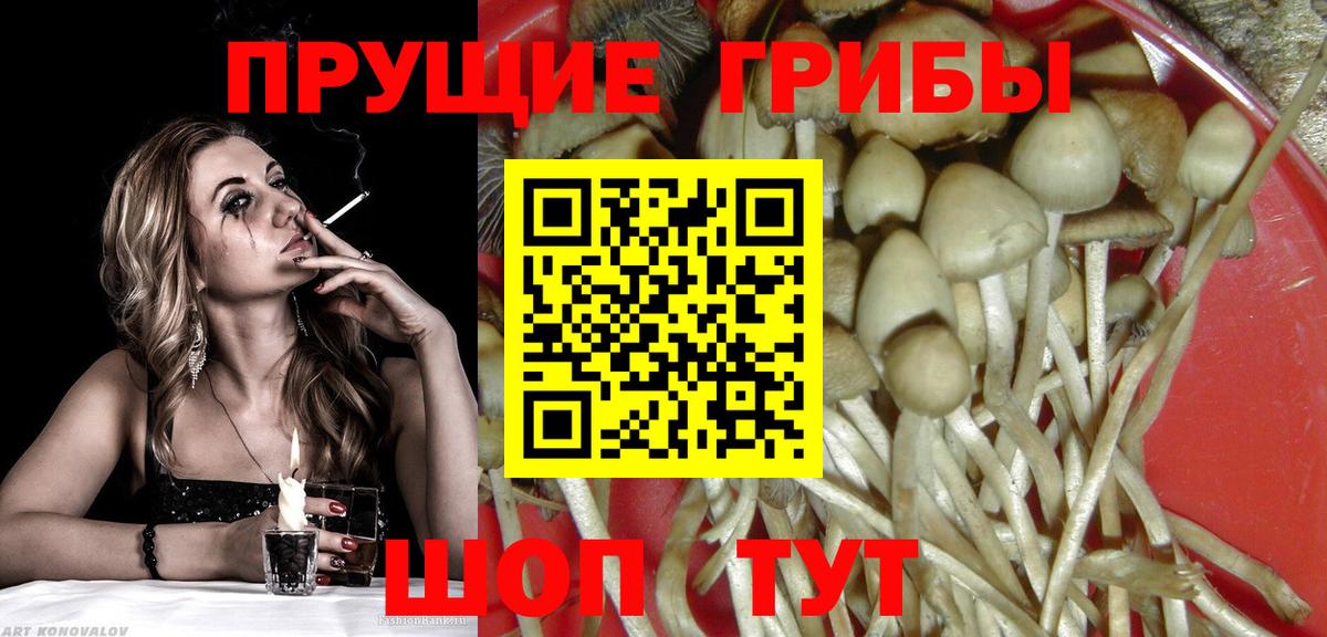 Псилоцибиновые грибы ЛСД Алексин